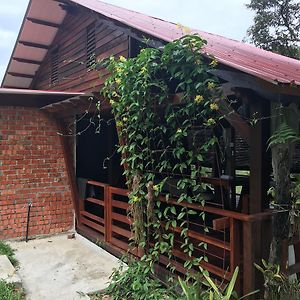 HIJAU @ Gopeng
